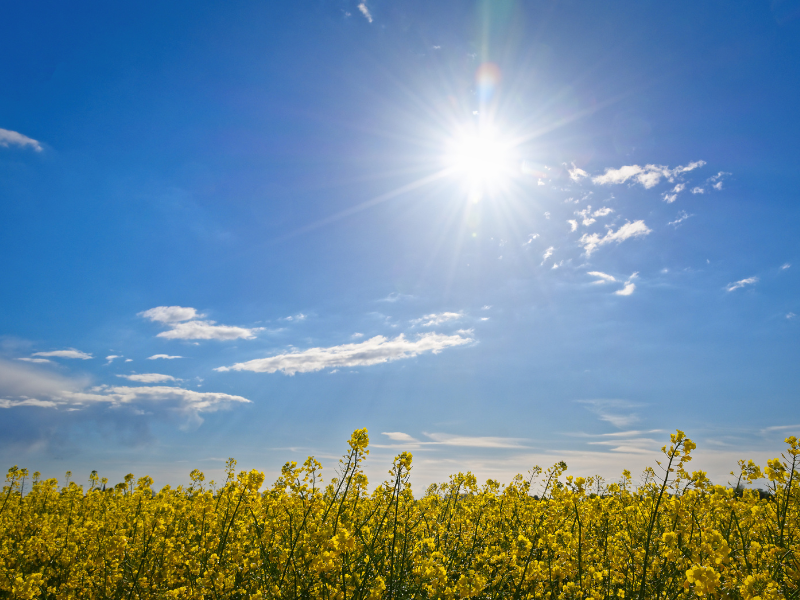 The Secret To Your Most Radiant Summer Skin